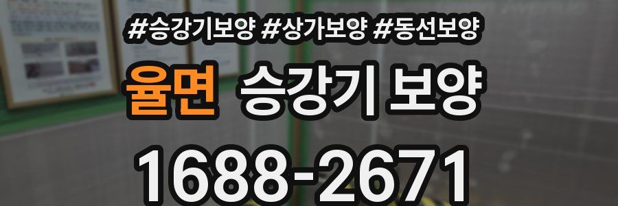 율면 승강기 보양