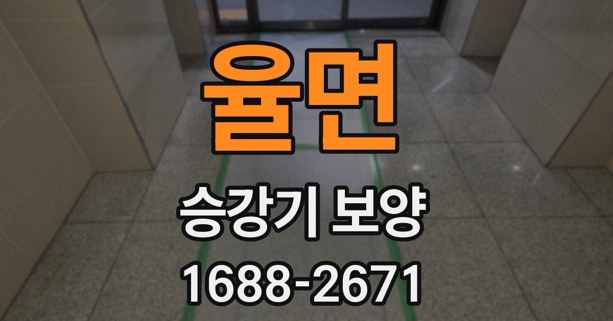 율면 승강기 보양