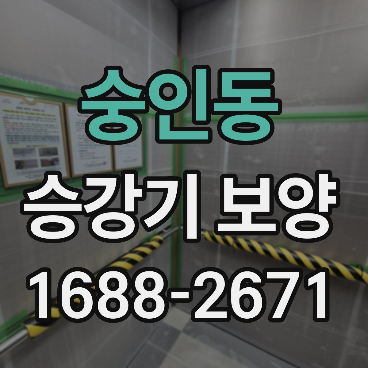 숭인동 승강기 보양
