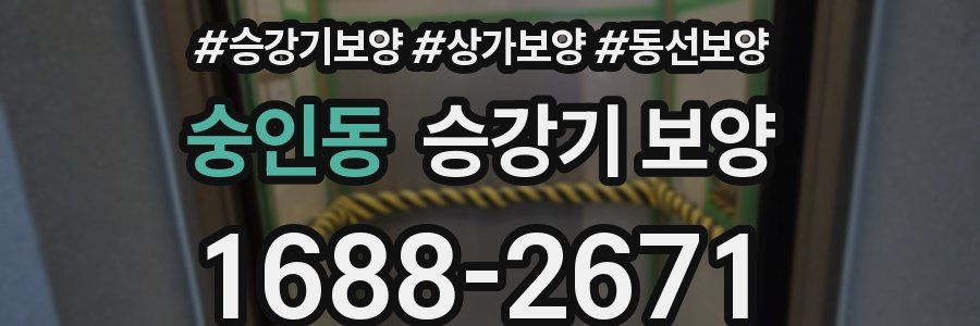 숭인동 승강기 보양