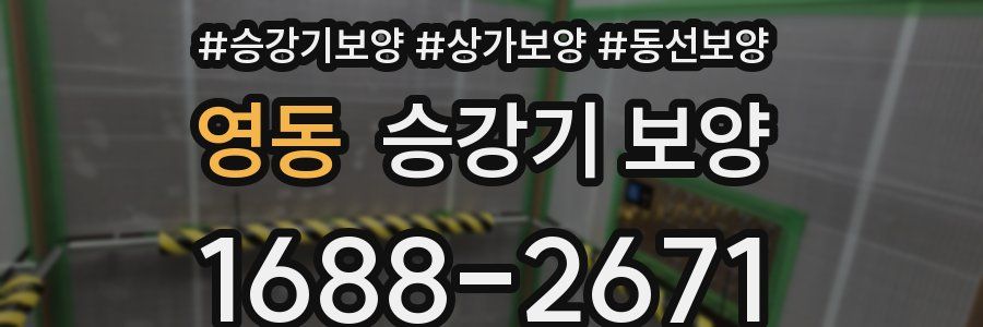 영동 승강기 보양
