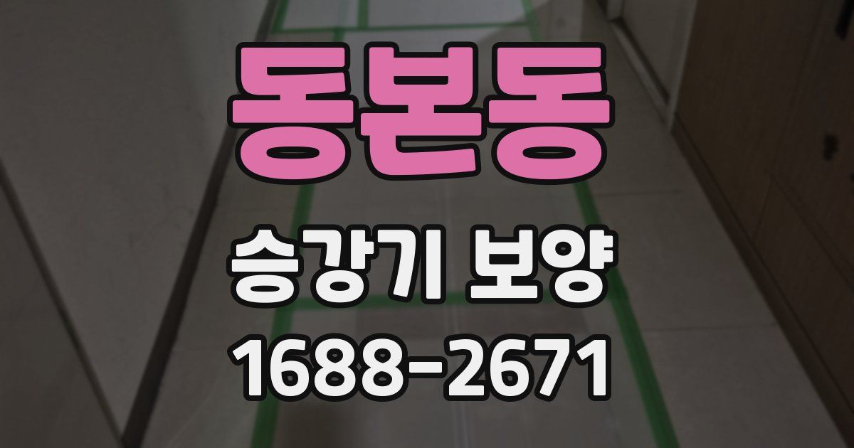 동본동 승강기 보양