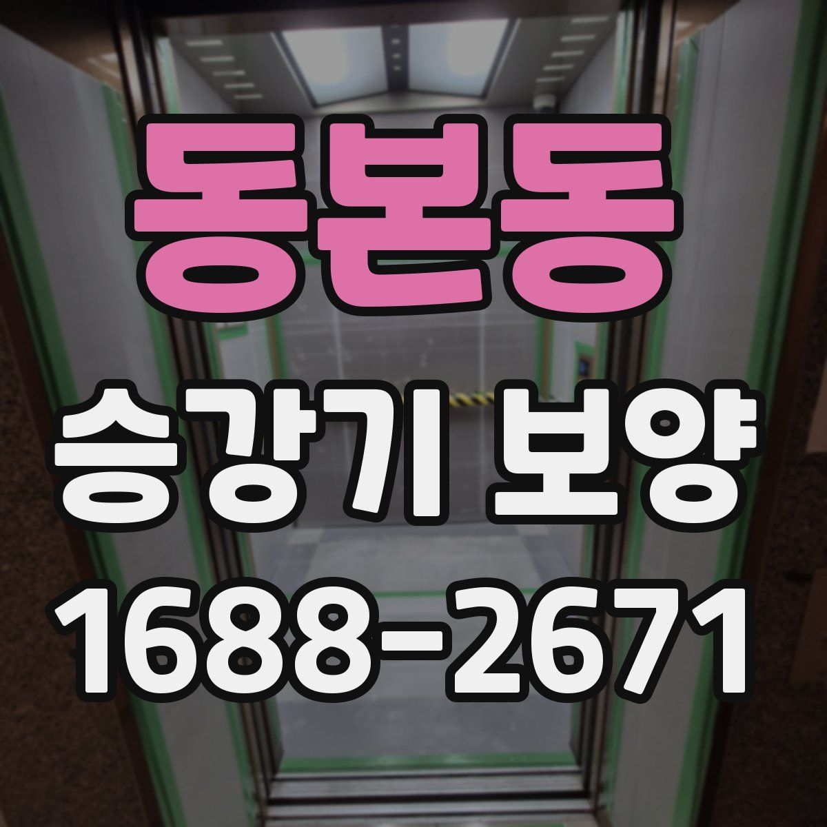동본동 승강기 보양