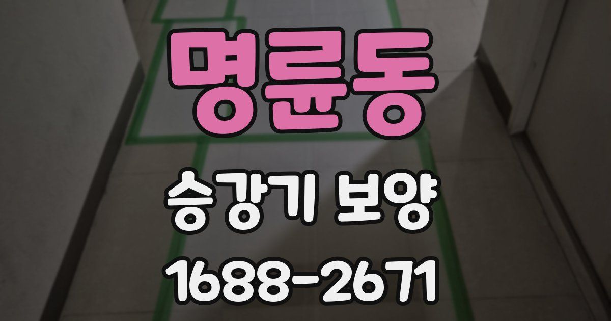 명륜동 승강기 보양