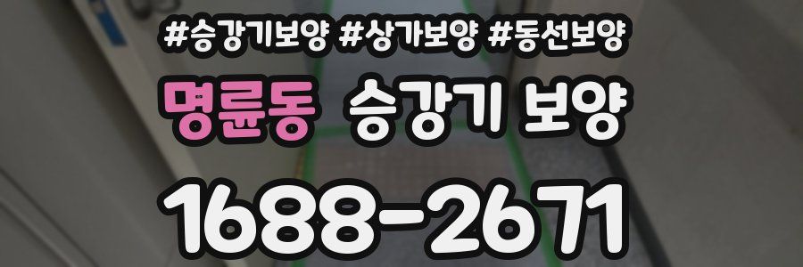 명륜동 승강기 보양