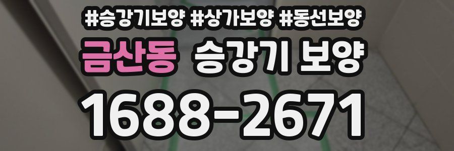 금산동 승강기 보양