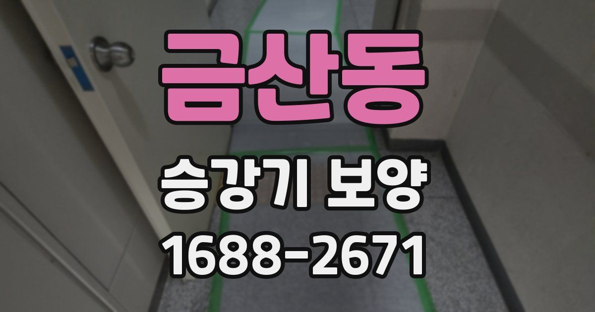 금산동 승강기 보양