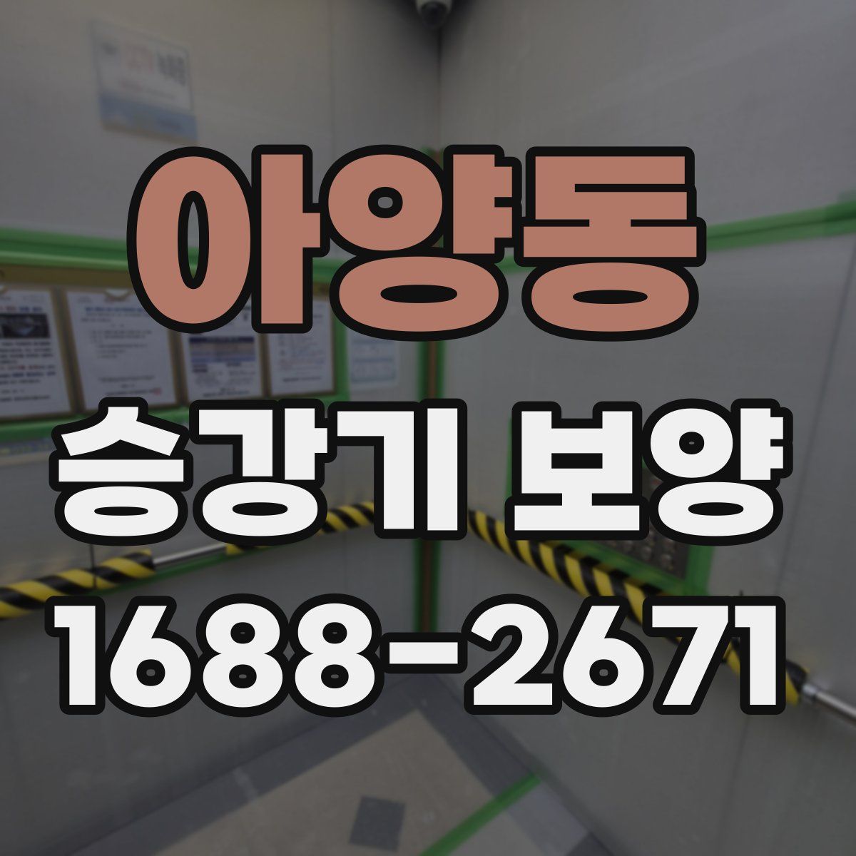 아양동 승강기 보양
