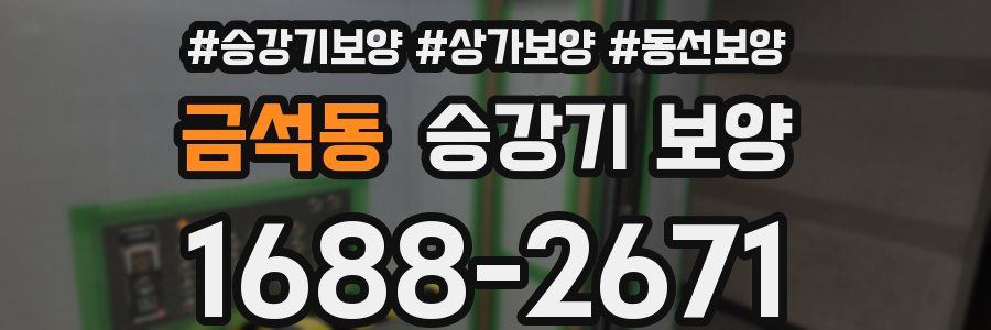금석동 승강기 보양