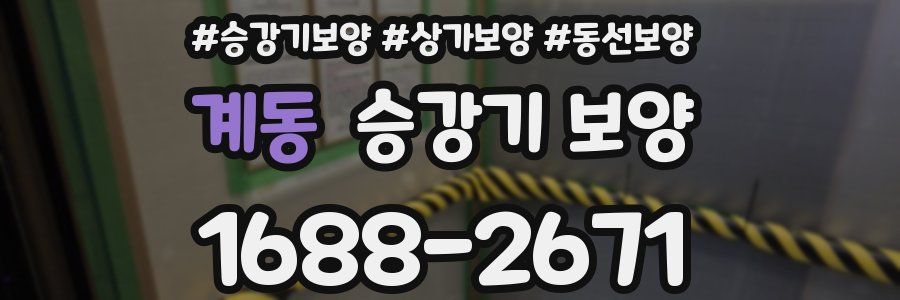 계동 승강기 보양