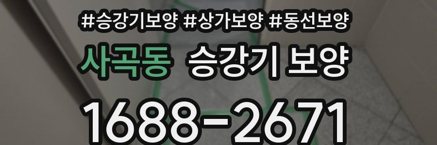 사곡동 승강기 보양