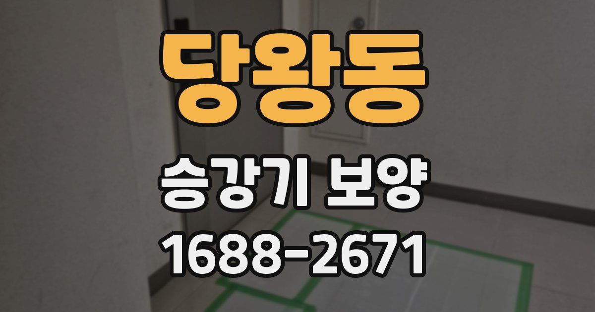 당왕동 승강기 보양