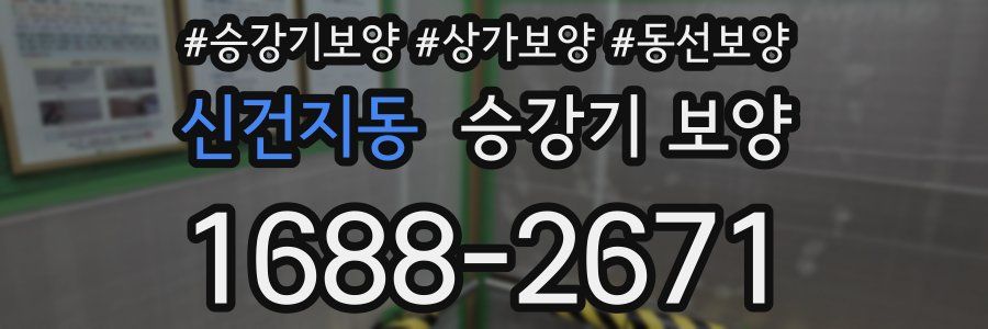 신건지동 승강기 보양