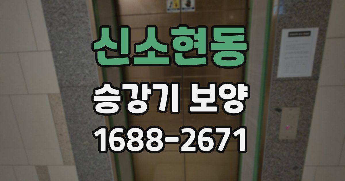 신소현동 승강기 보양