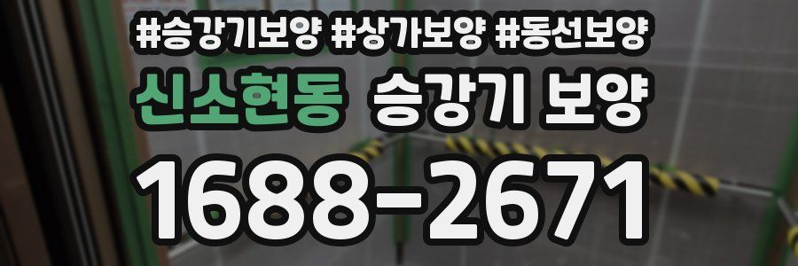 신소현동 승강기 보양