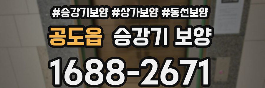 공도읍 승강기 보양