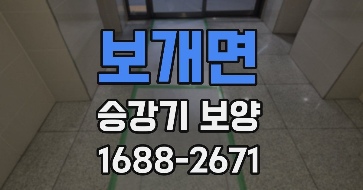 보개면 승강기 보양