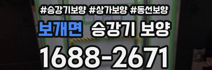 보개면 승강기 보양