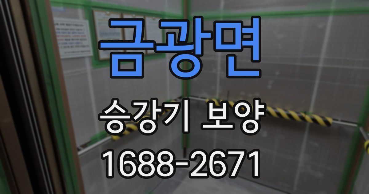 금광면 승강기 보양