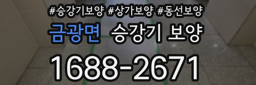 금광면 승강기 보양