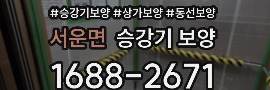 서운면 승강기 보양