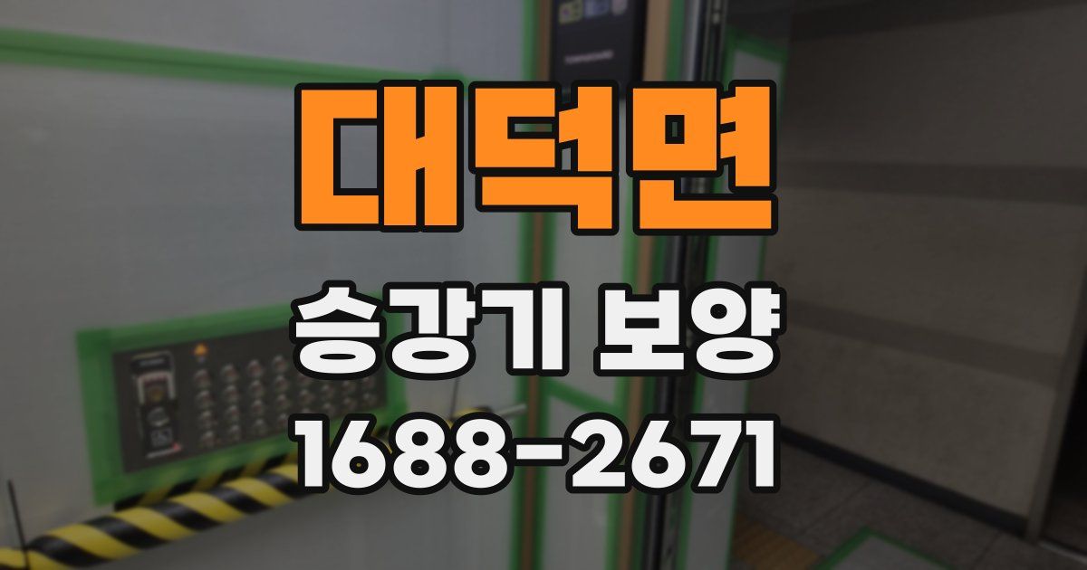 대덕면 승강기 보양