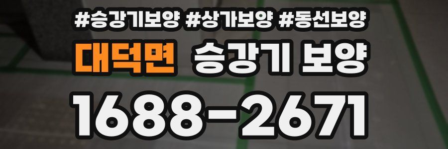 대덕면 승강기 보양