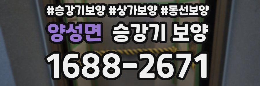 양성면 승강기 보양