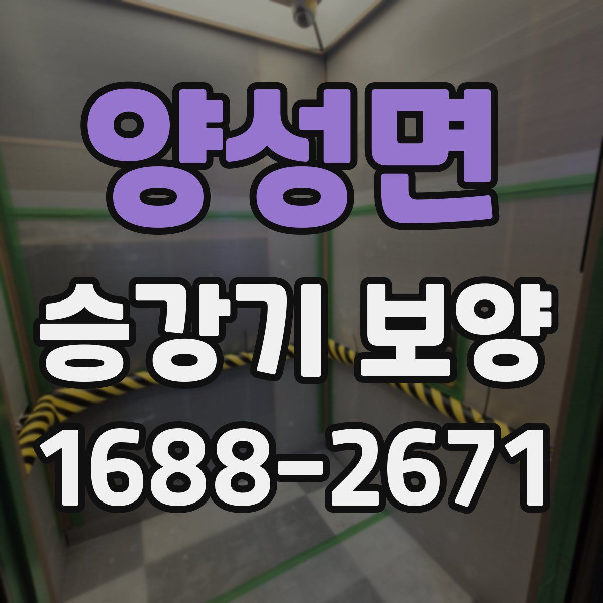 양성면 승강기 보양