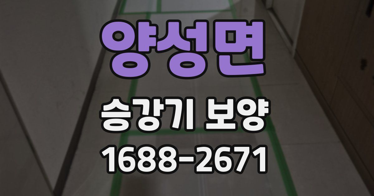 양성면 승강기 보양