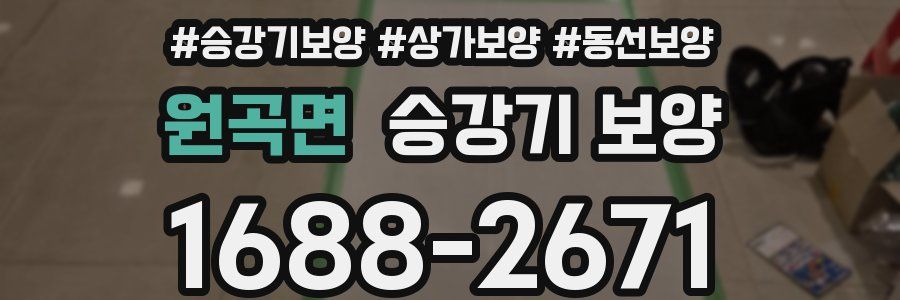 원곡면 승강기 보양