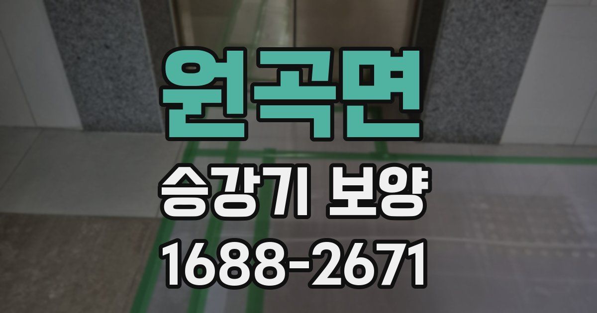 원곡면 승강기 보양