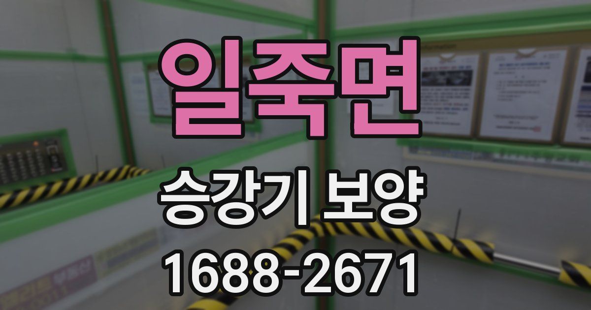 일죽면 승강기 보양