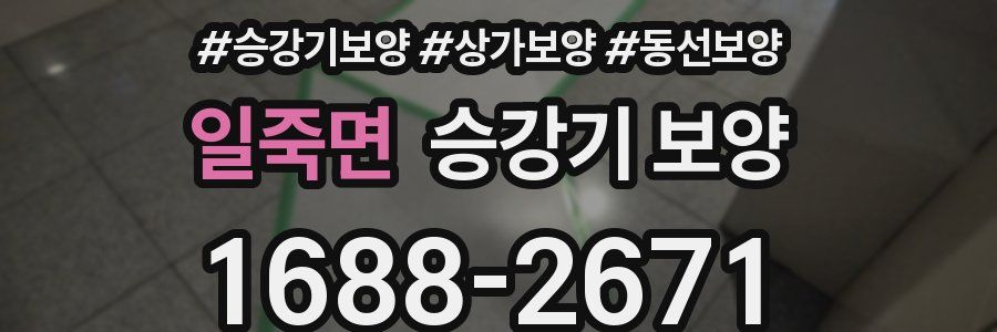 일죽면 승강기 보양
