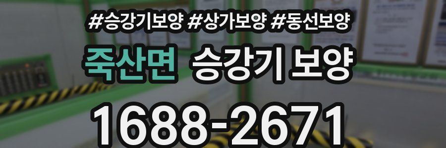 죽산면 승강기 보양