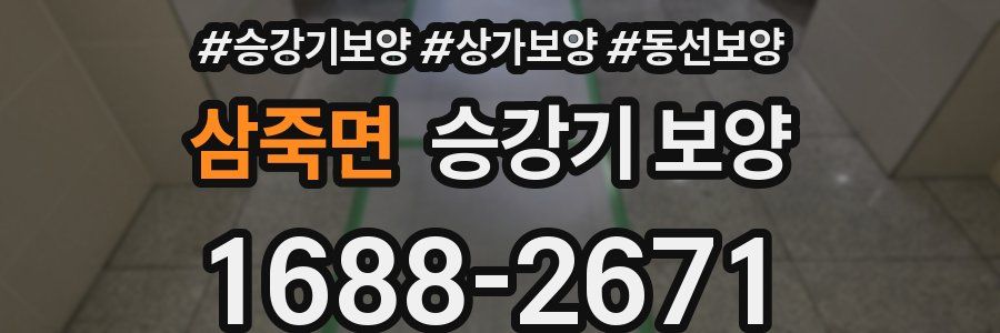 삼죽면 승강기 보양