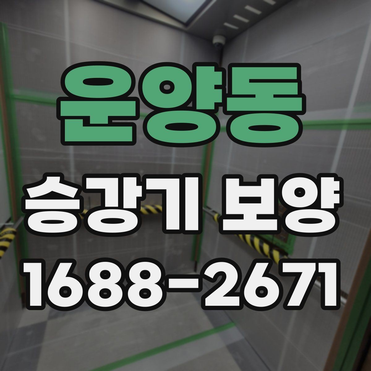 운양동 승강기 보양 공정별 핵심 포인트