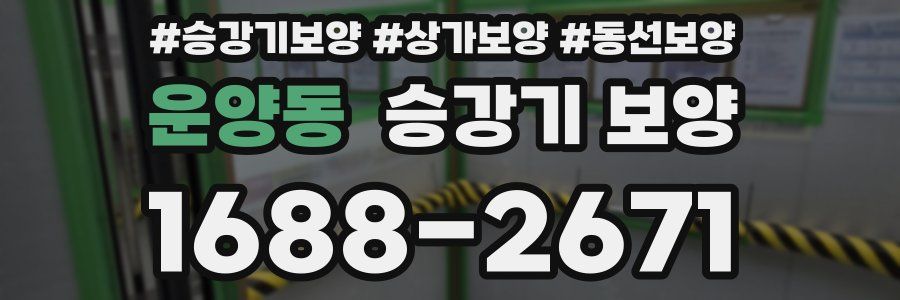 운양동 승강기 보양
