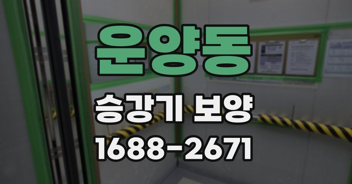운양동 승강기 보양