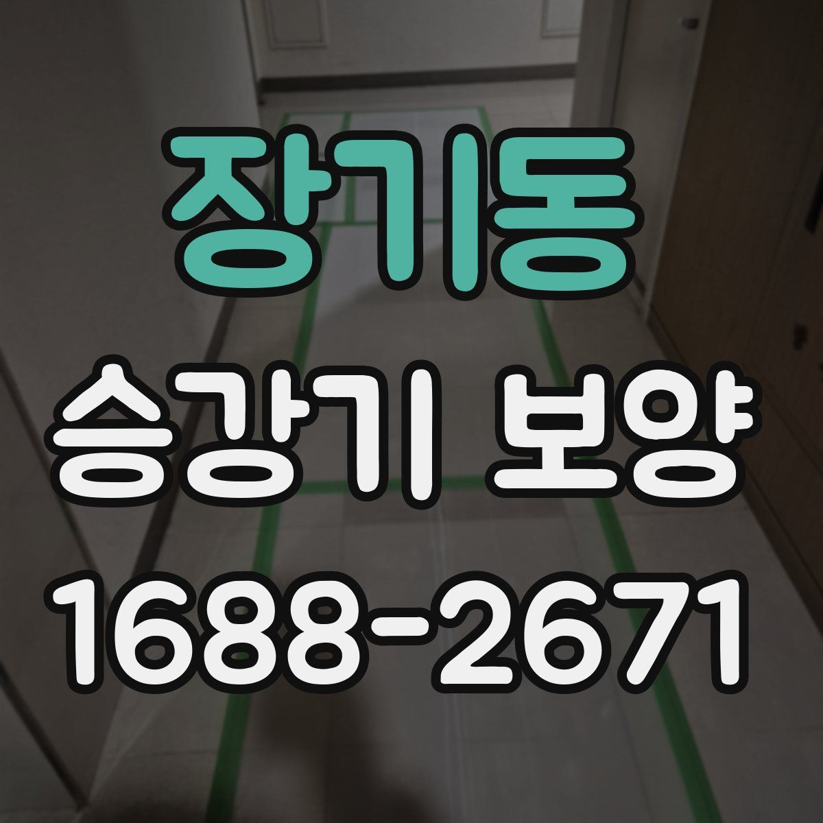 장기동 승강기 보양