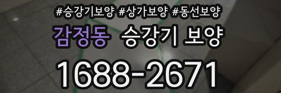 감정동 승강기 보양