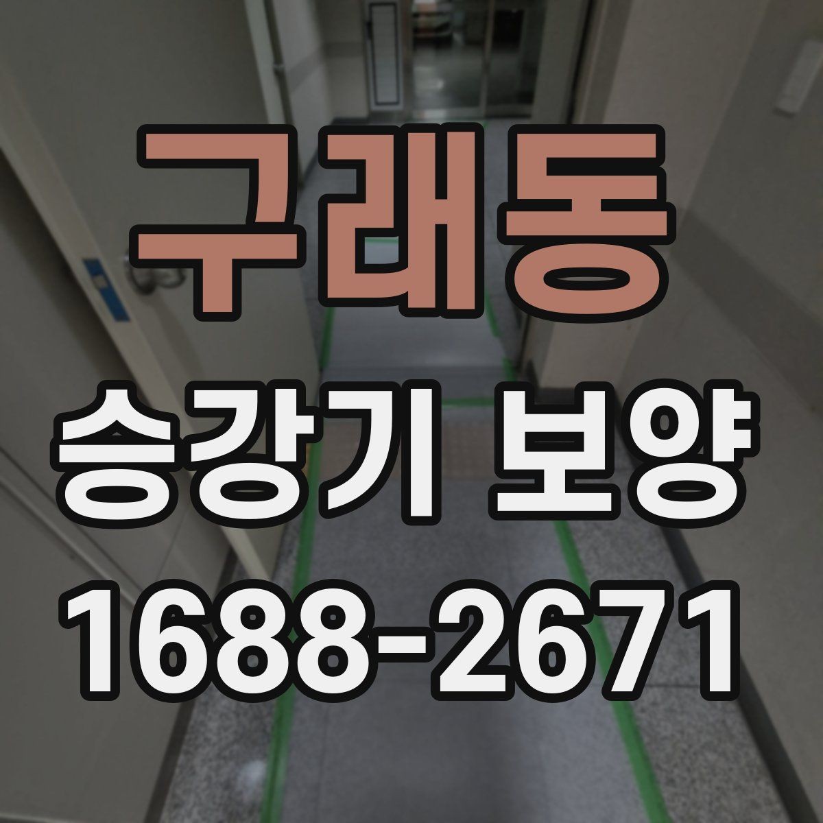 구래동 승강기 보양 품질을 확인하는 실무 기준