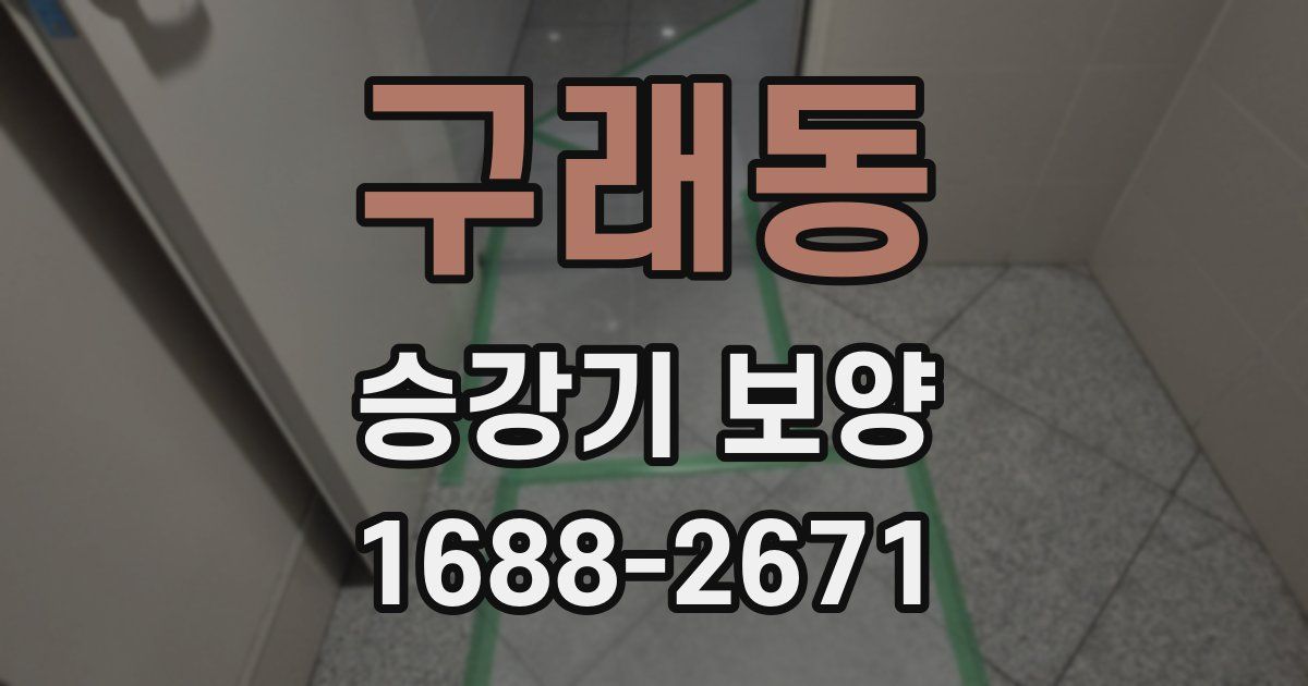 구래동 승강기 보양
