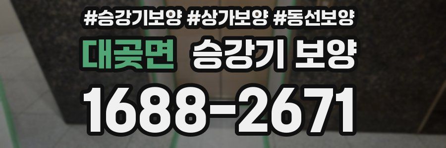 대곶면 승강기 보양