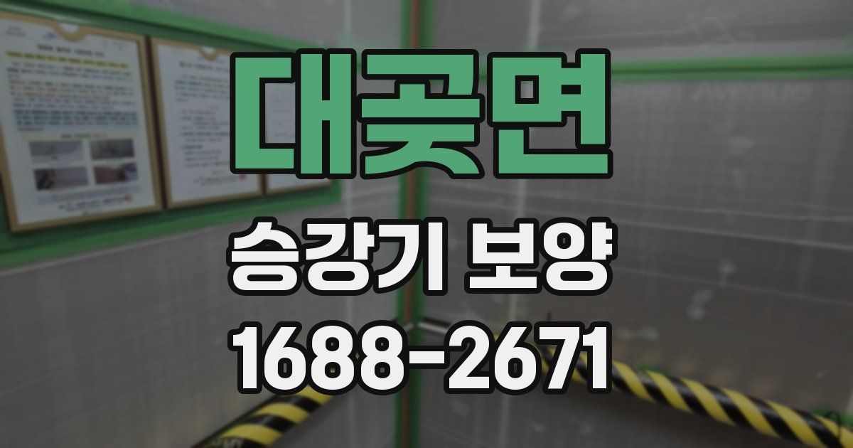 대곶면 승강기 보양