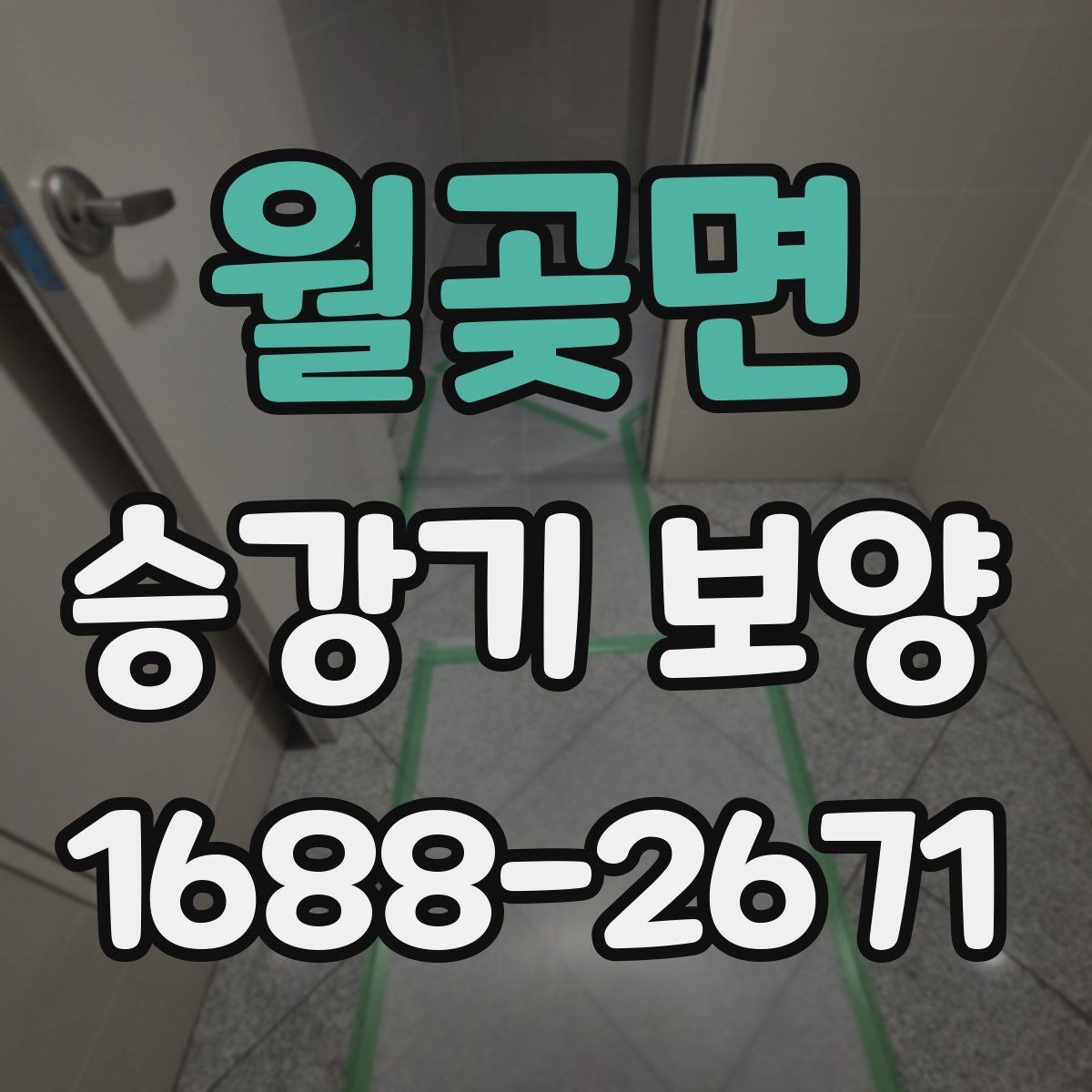 월곶면 승강기 보양 관련 상담 시 물어볼 내용