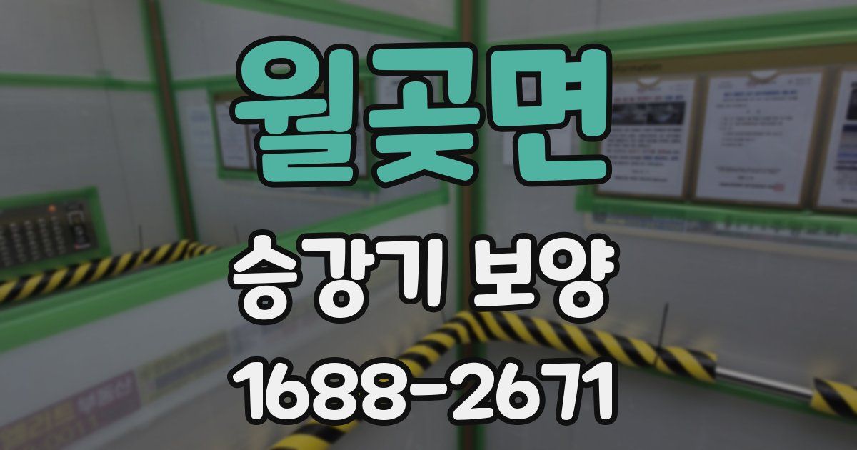 월곶면 승강기 보양