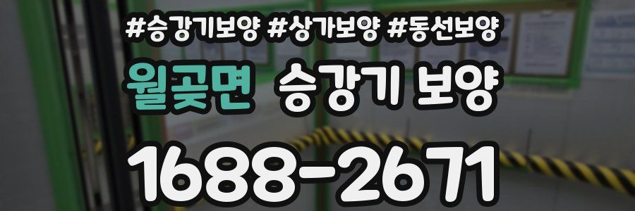 월곶면 승강기 보양