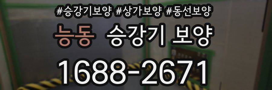 능동 승강기 보양