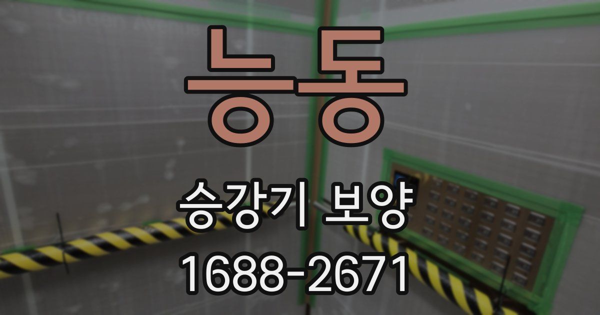 능동 승강기 보양